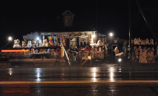 Fluffy toy trade on Moscow-Vladimir highway