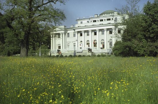 View of western side of Yelagin Palace
