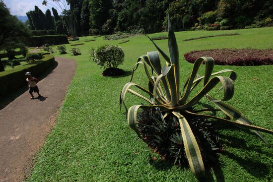 Royal Botanical Garden in Peradeniya