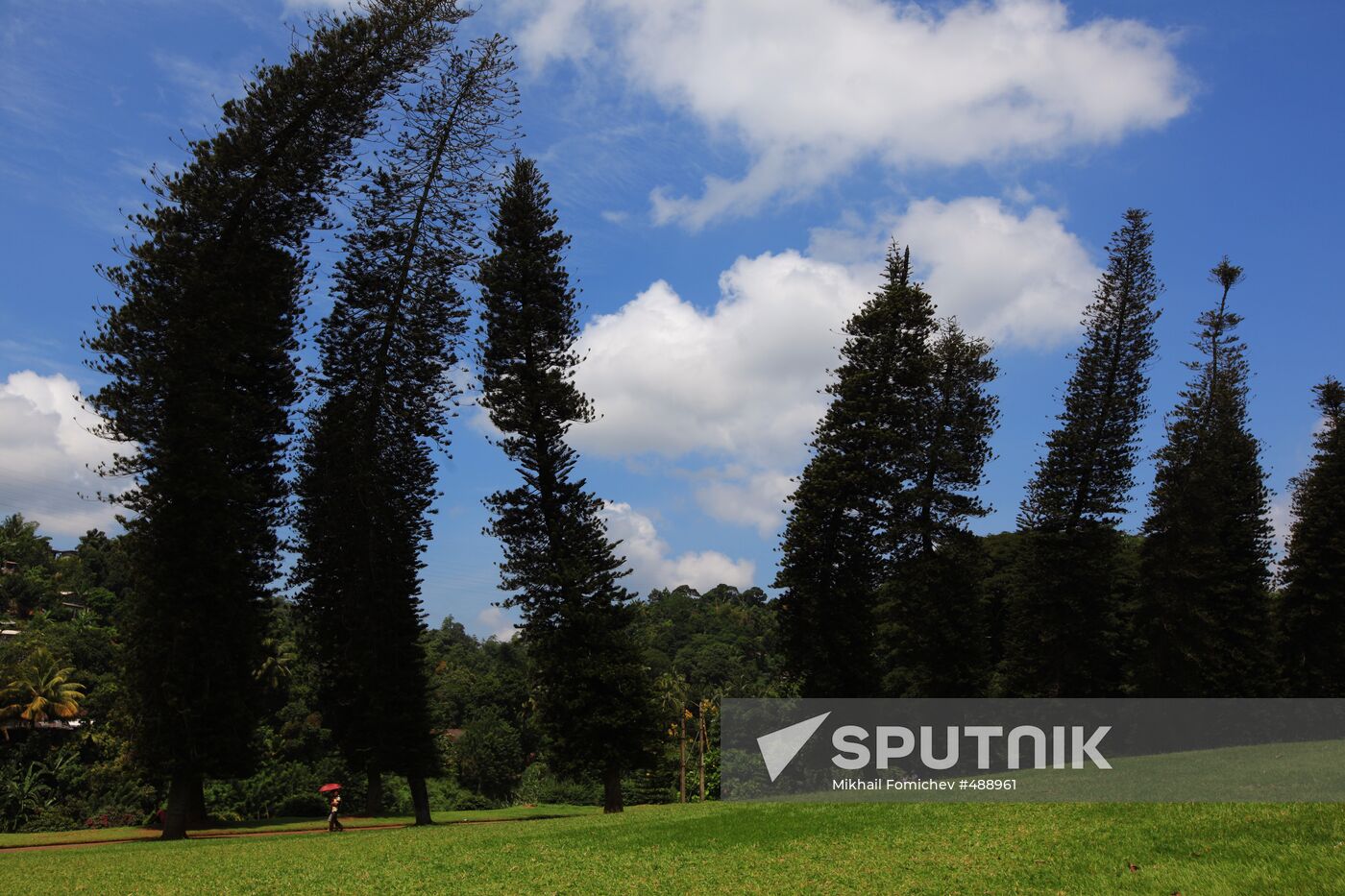 Royal Botanical Garden in Peradeniya