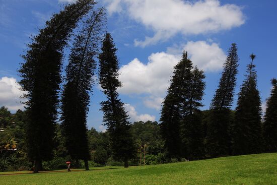 Royal Botanical Garden in Peradeniya