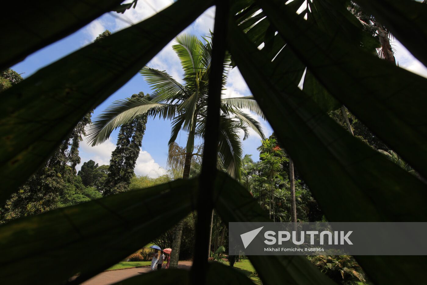 Royal Botanical Garden in Peradeniya