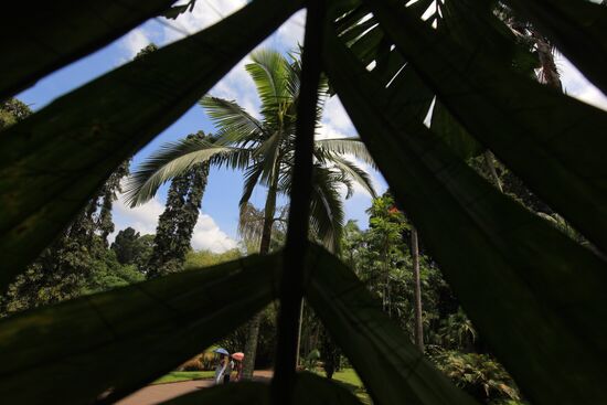 Royal Botanical Garden in Peradeniya