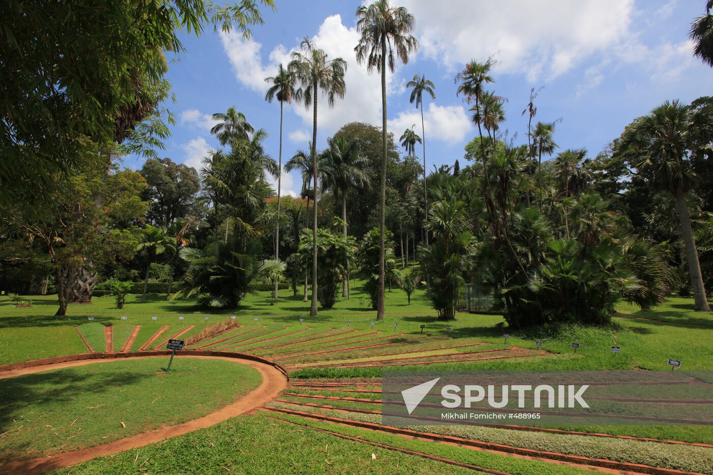 Royal Botanical Garden in Peradeniya