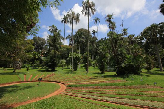 Royal Botanical Garden in Peradeniya