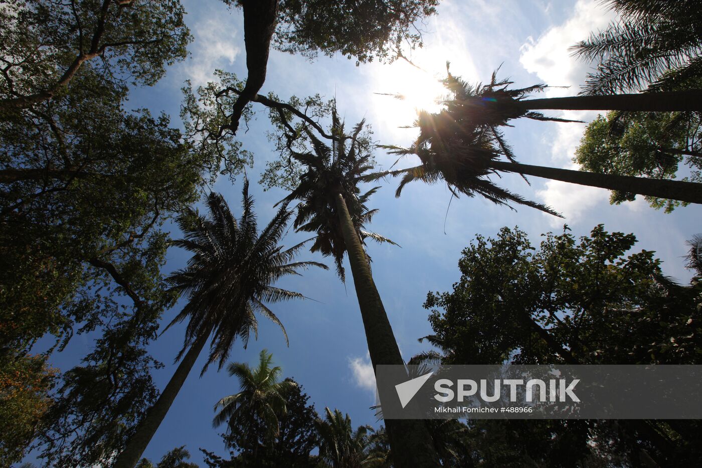 Royal Botanical Garden in Peradeniya