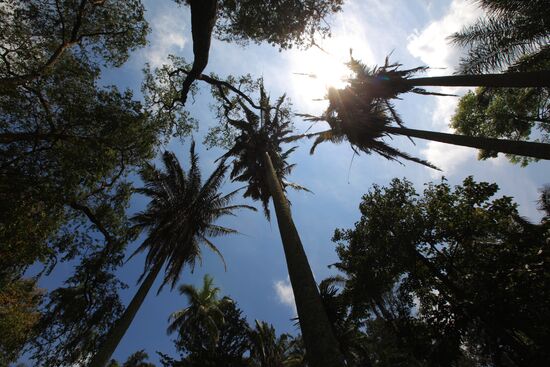 Royal Botanical Garden in Peradeniya