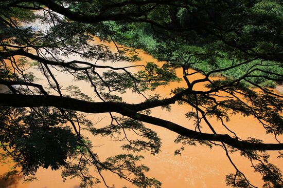 Royal Botanical Garden in Peradeniya