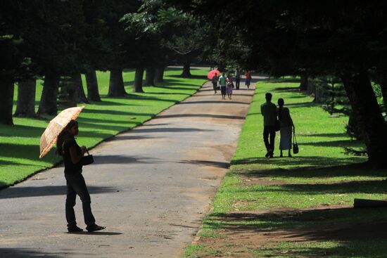 Royal Botanical Garden in Peradeniya