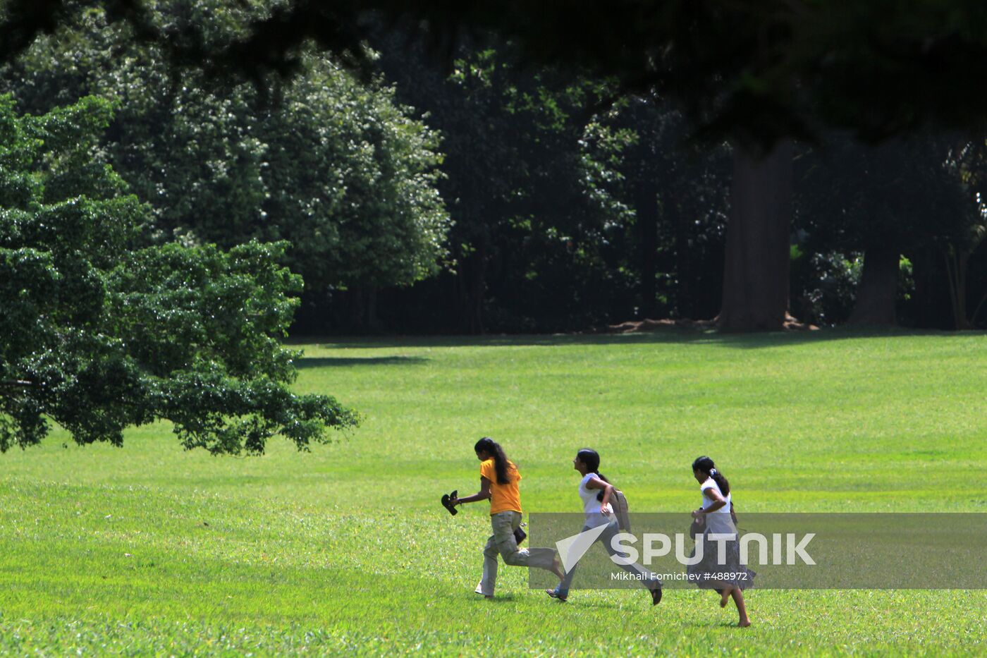 Royal Botanical Garden in Peradeniya