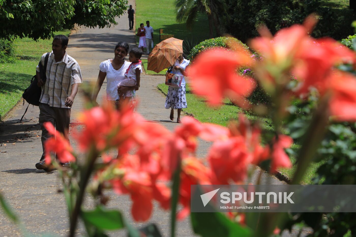 Royal Botanical Garden in Peradeniya