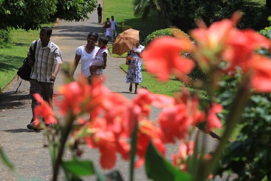 Royal Botanical Garden in Peradeniya