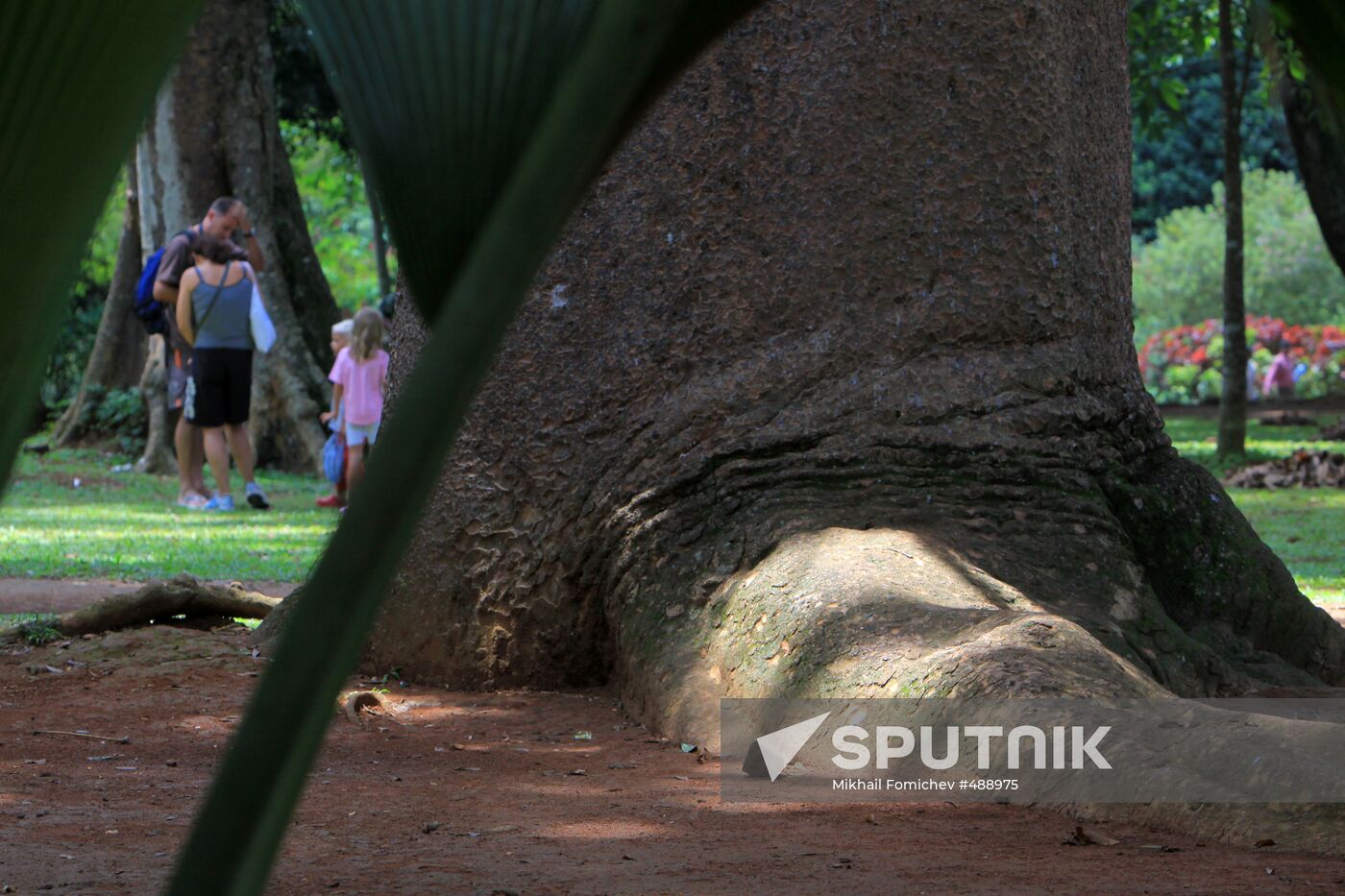 Royal Botanical Garden in Peradeniya
