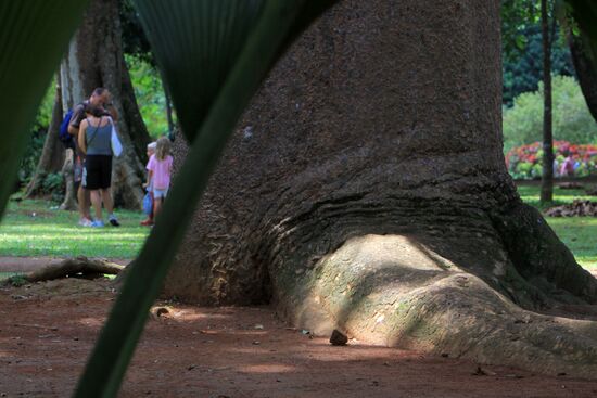 Royal Botanical Garden in Peradeniya