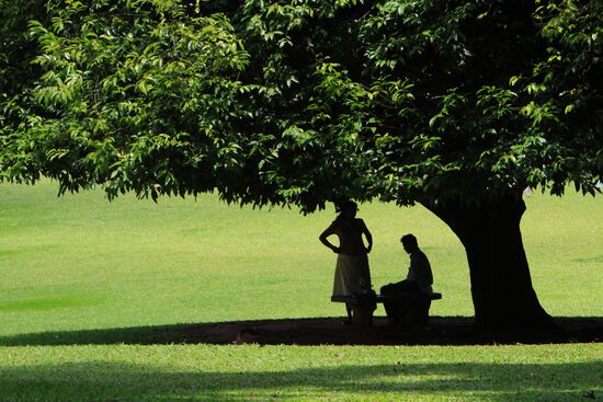 Royal Botanical Garden in Peradeniya