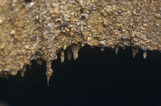 Stalactites