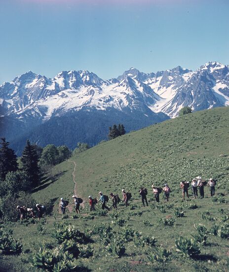 Group of tourists