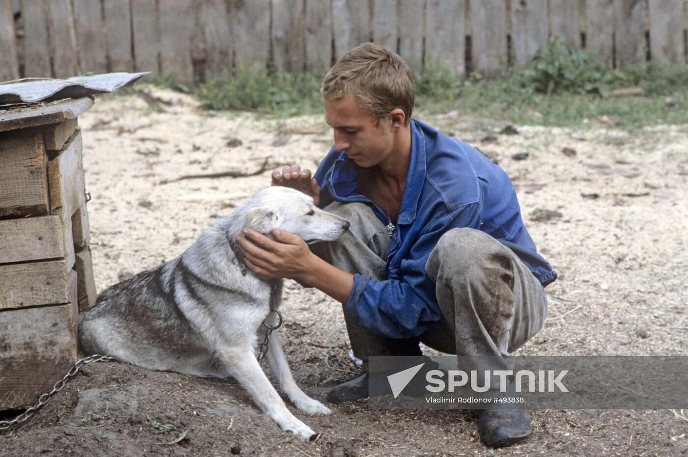 Man and dog