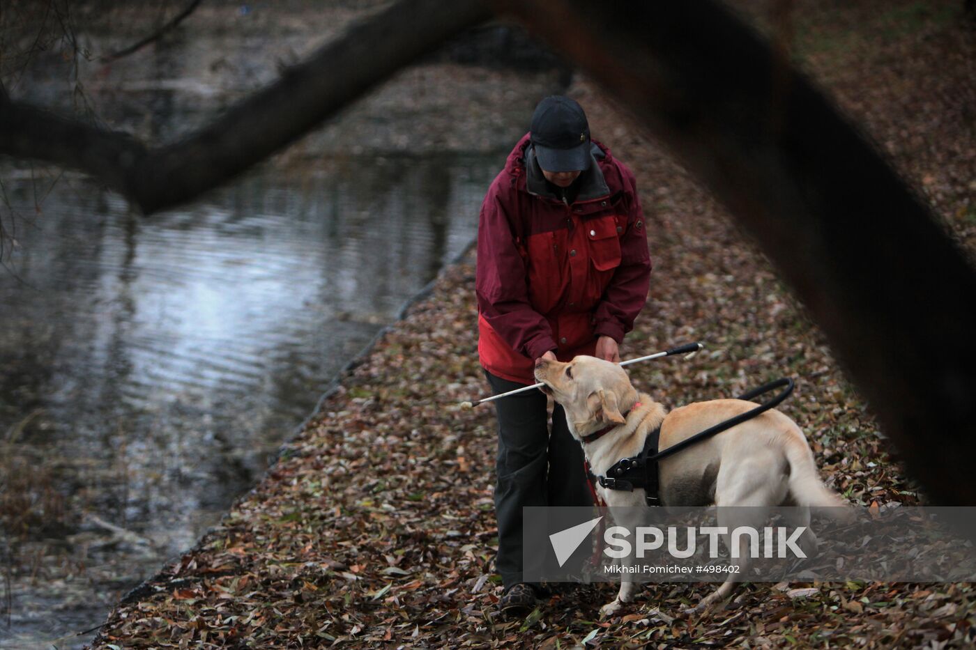 Guide dog training
