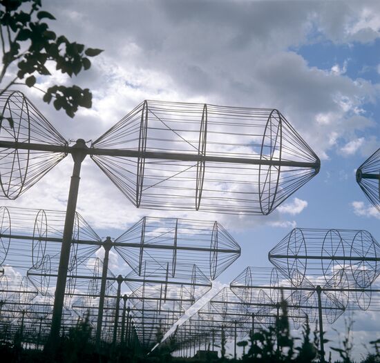 Radio telescope