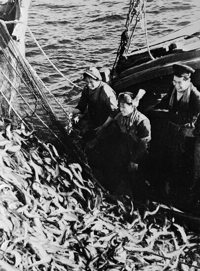 FISHERMEN CATCH 