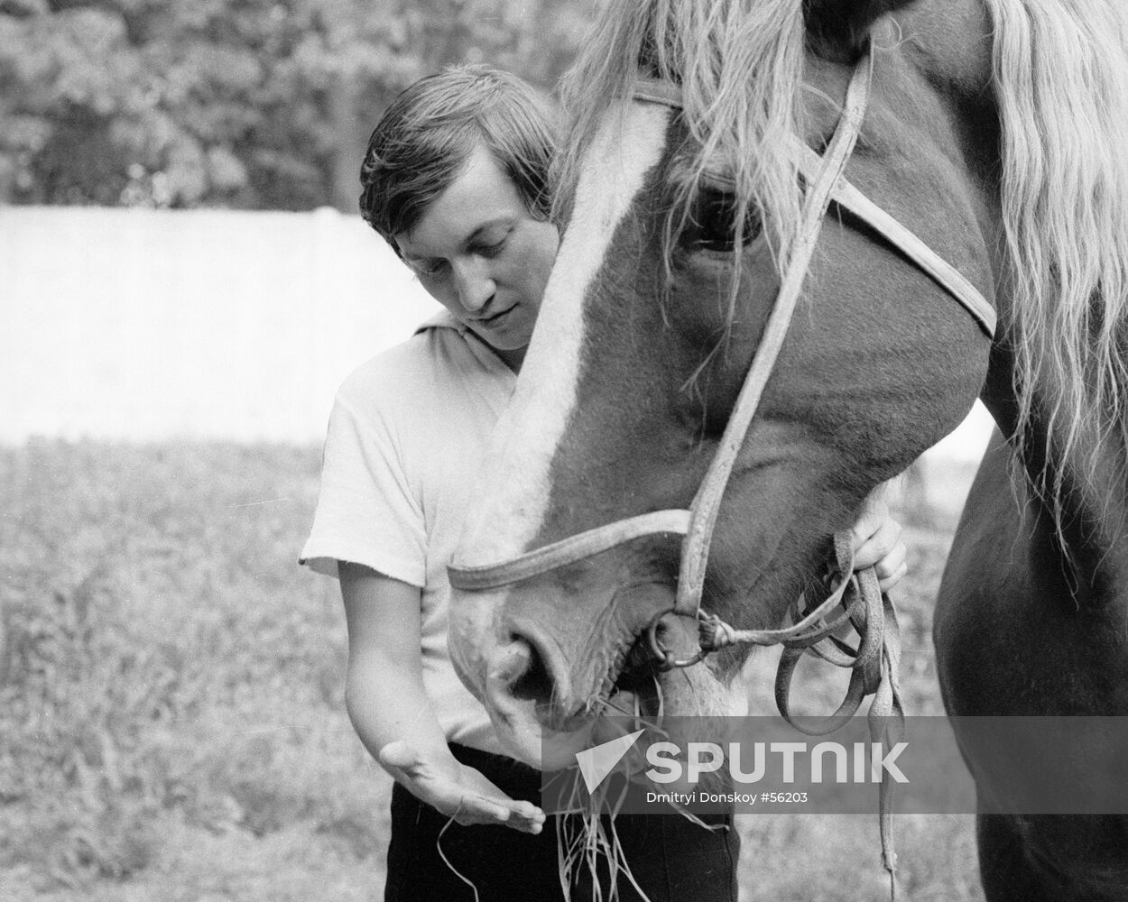KARPOV