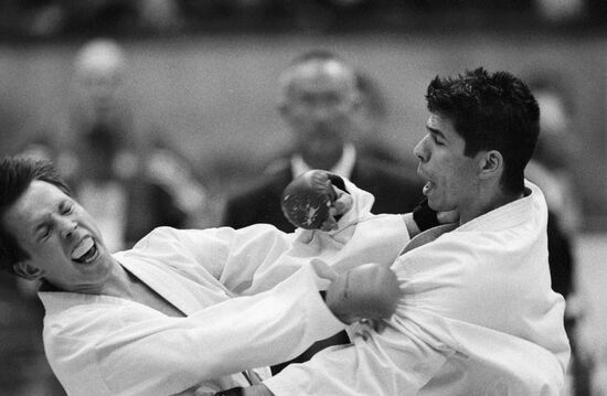 KARATE WRESTLERS