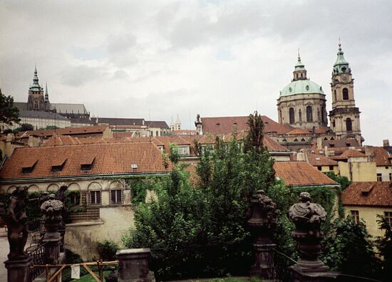 VIEW CITY