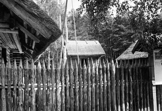 PEASANT HOMESTEAD