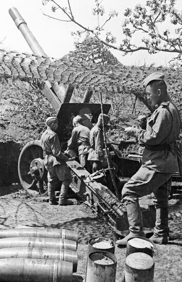 SOLDIERS GUN WWII
