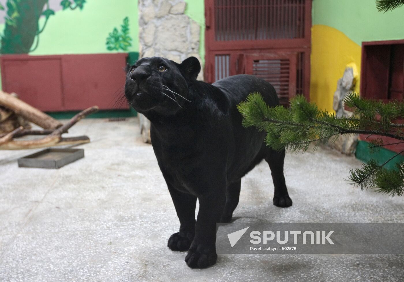New pets at Yekaterinburg Zoo