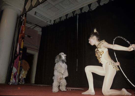 Theatrical performance