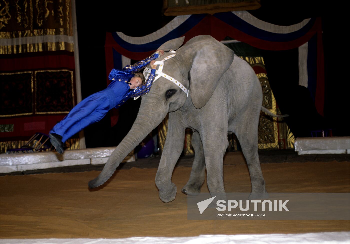 Trainer Andrei Kornilov with elephant