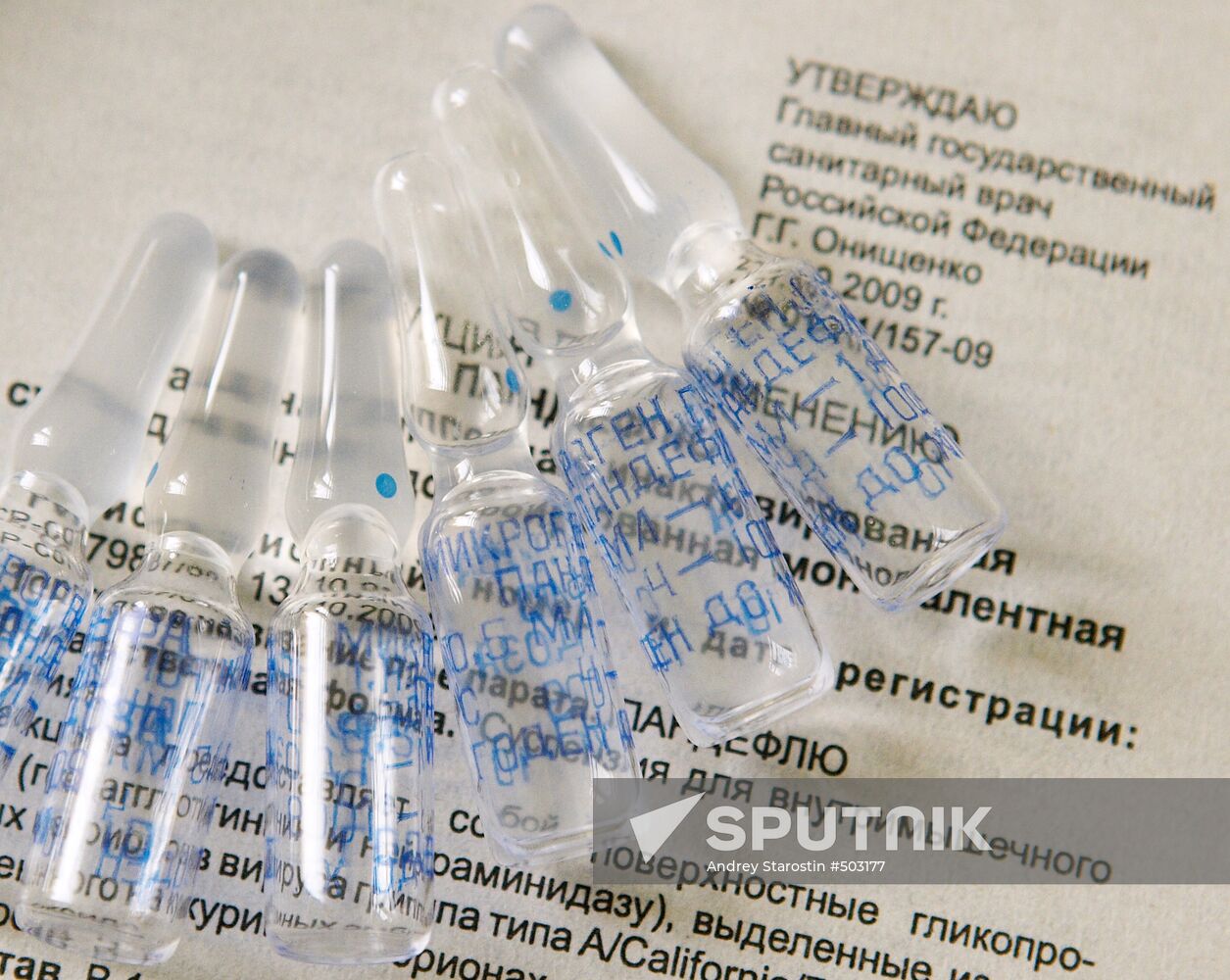 Pandeflu, an A/H1N1 flu vaccine