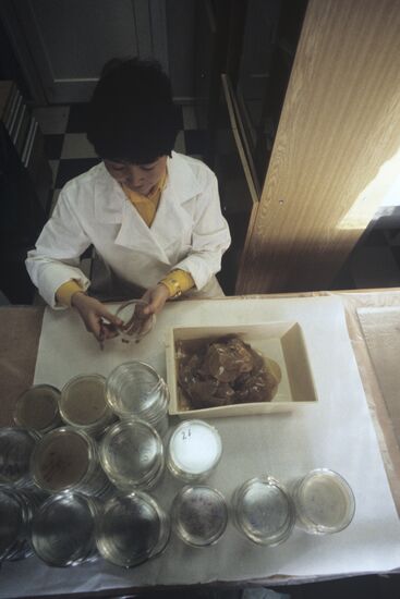 Laboratory