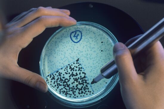 Experiment analysis