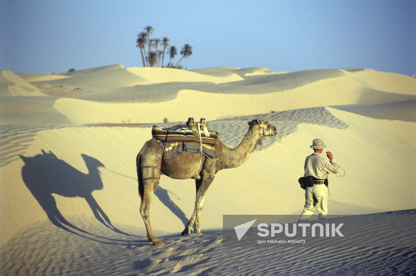 Jacek Palkiewicz crosses Sahara Desert