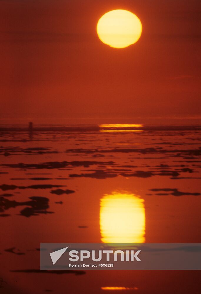 Arctic sunset