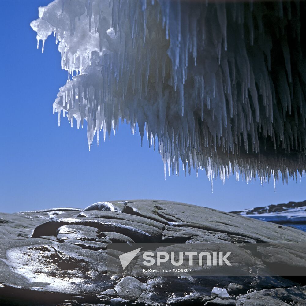 Summer in the Antarctic