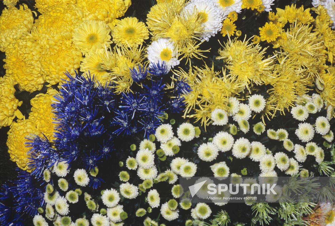Flower arrangement