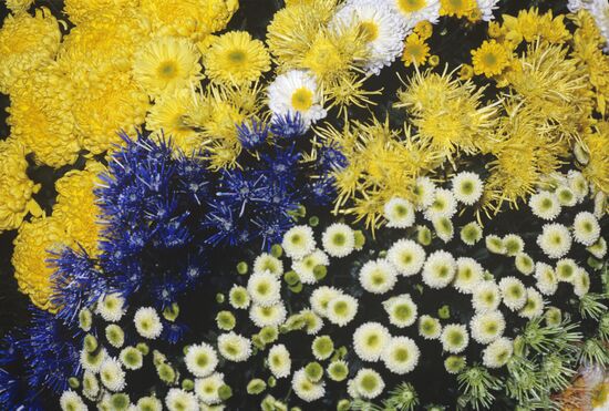 Flower arrangement