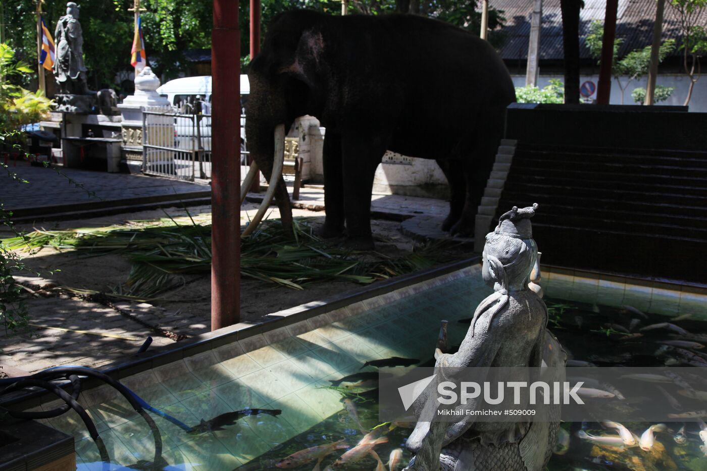 Countries: Sri Lanka
