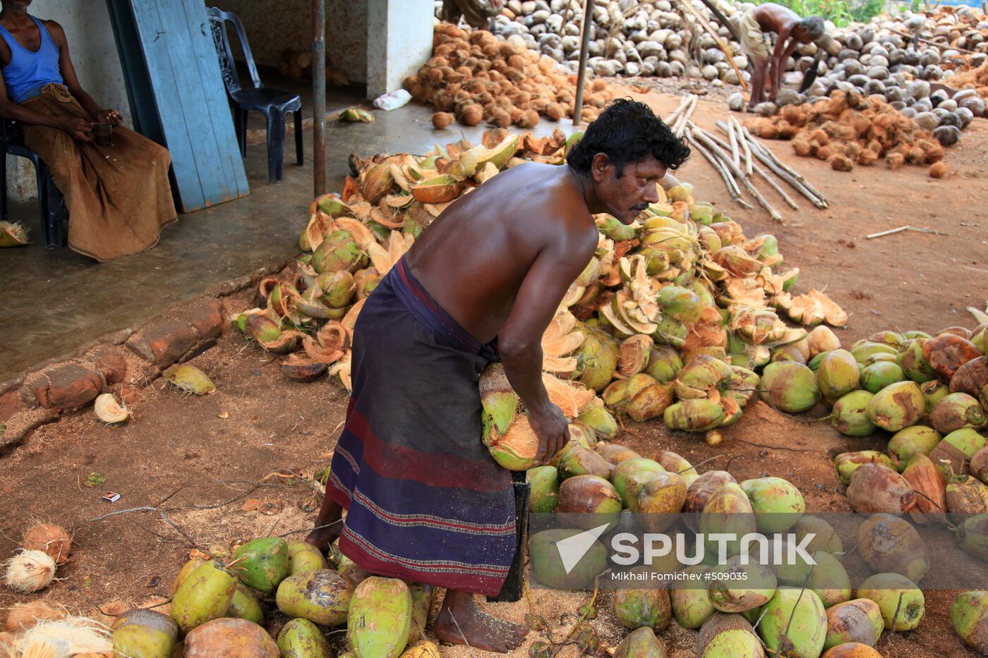 Countries: Sri Lanka