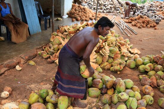 Countries: Sri Lanka