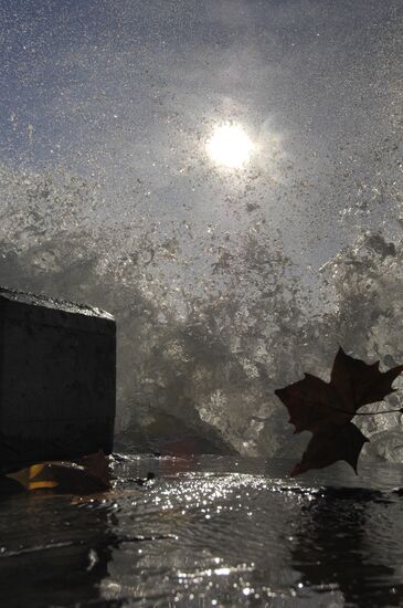 Sea storm in Sochi