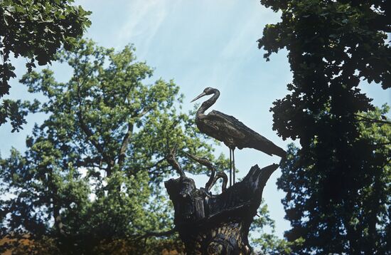 "The Nest of the Stork"