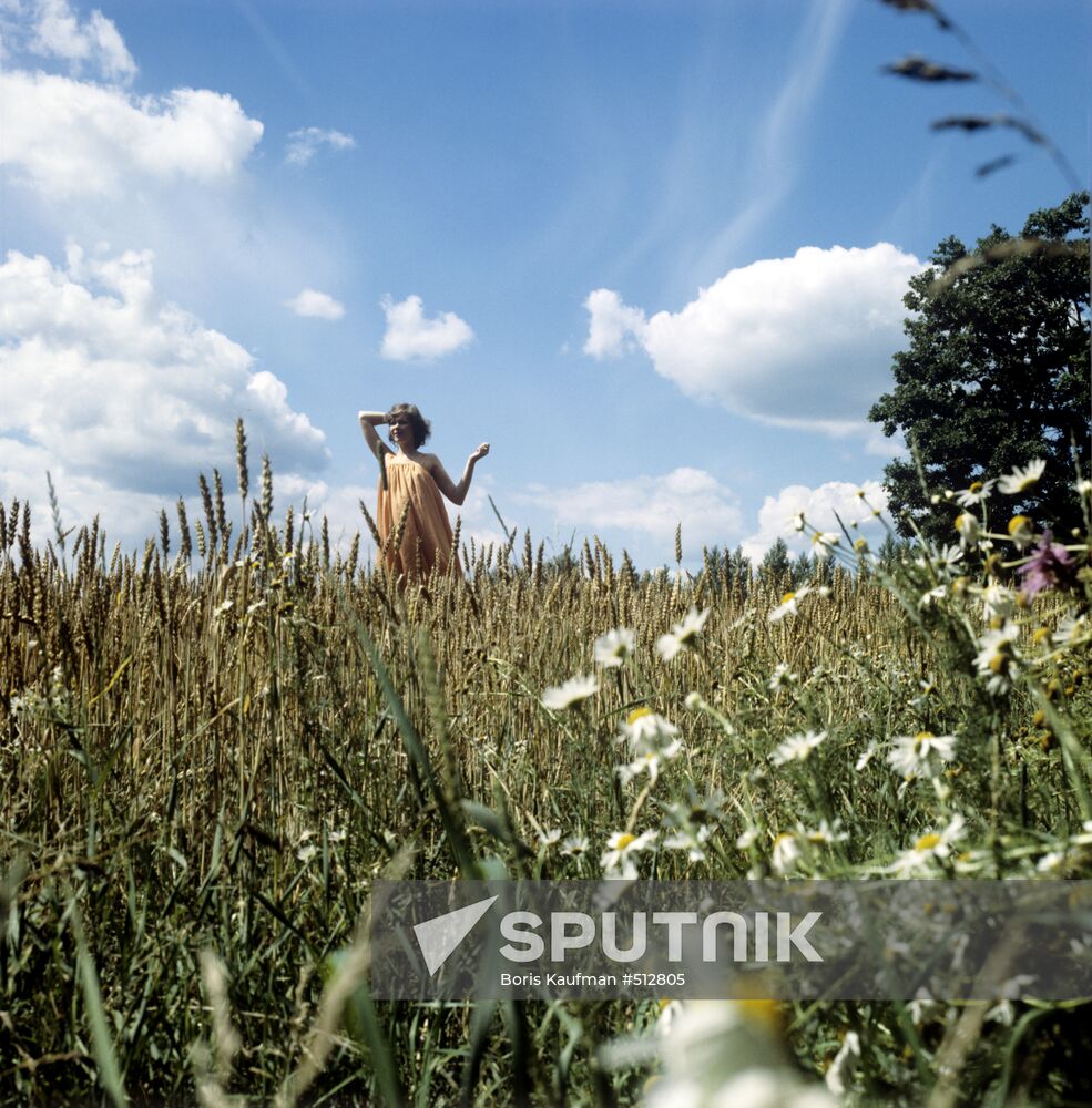 Meadow