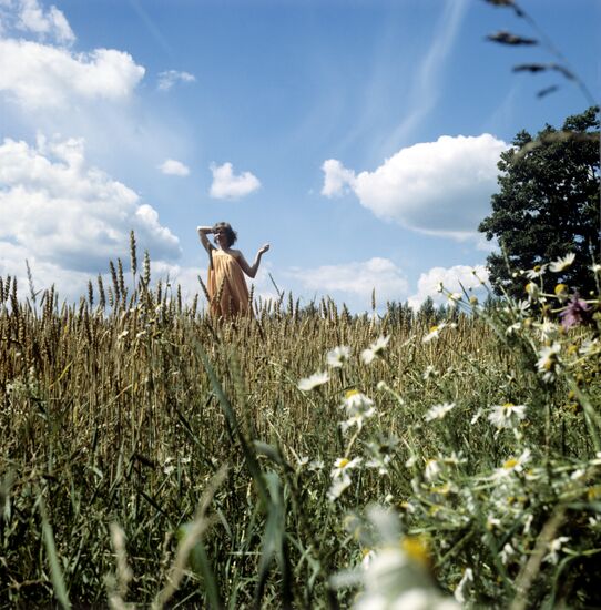 Meadow