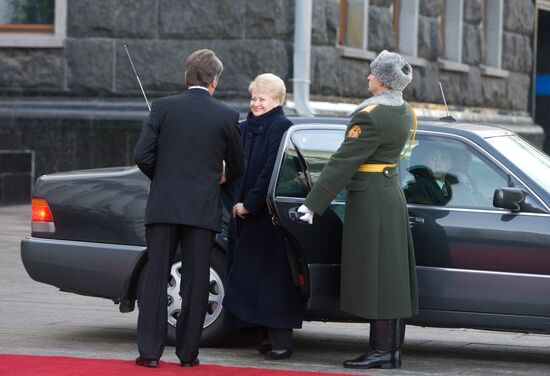 Lithuanian President Dalia Grybauskaite pays state visit to Kiev