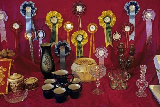 Awards for Cat Exhibition winners